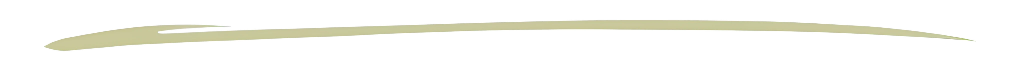Barra decorativa